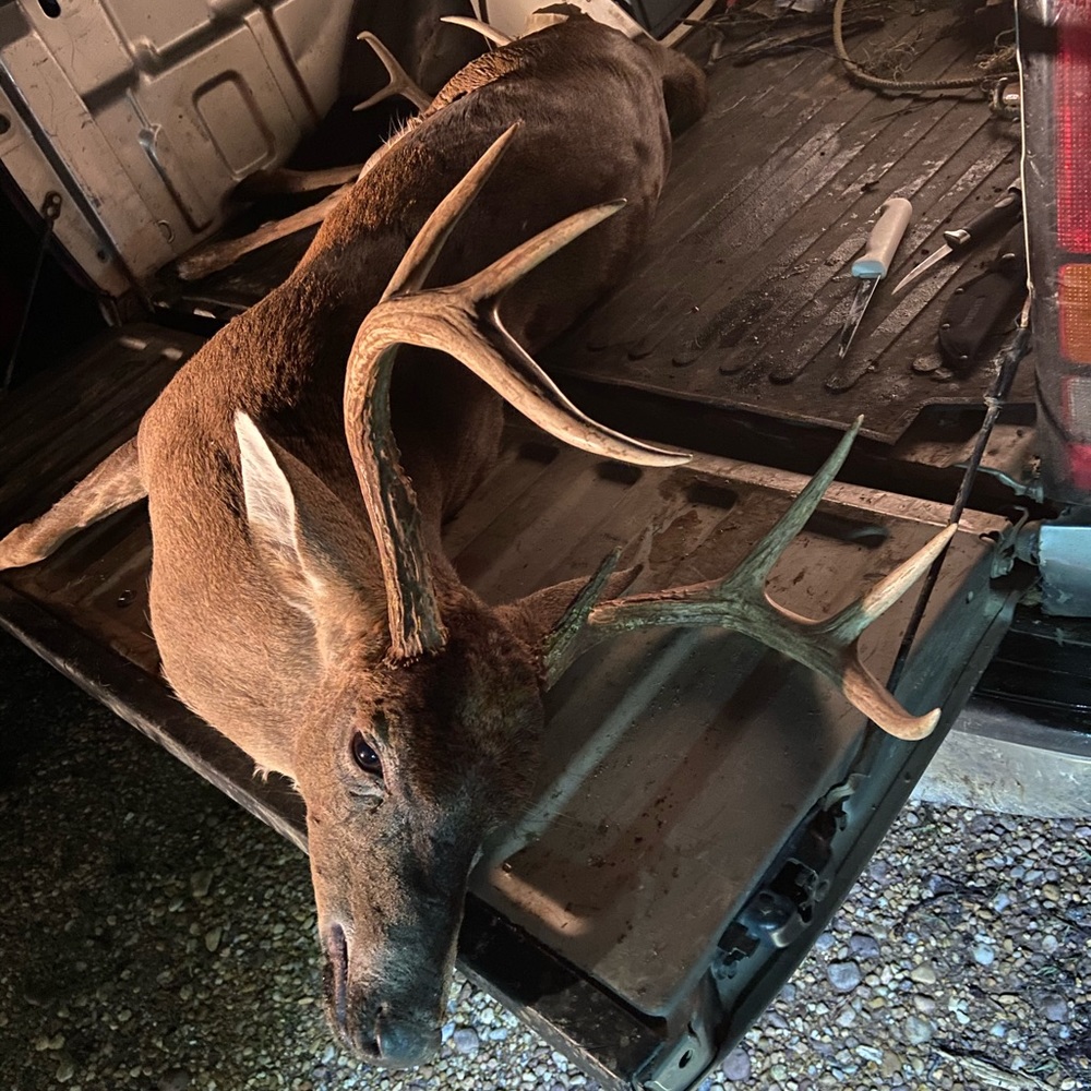 Meet your Posher, Derrick